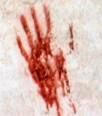 Nessun rimpianto