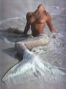Sirena