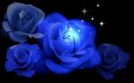 Non temere