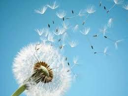 Pensiero