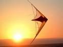 Kites