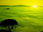 Nel silenzio apparente