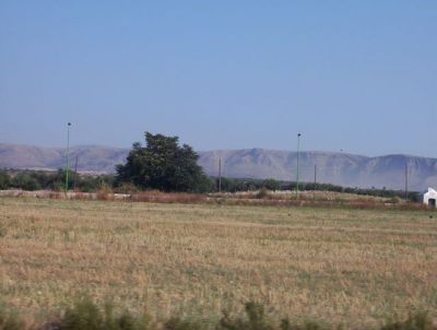 Resurrezione estiva