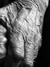 Come una fotografia