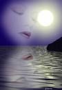 NEL RIFLESSO DEL SOLE (sono aria)