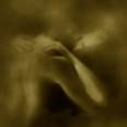 Nel silenzio del possederti