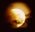 Ho parlato di te alla luna