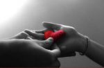 Ti porter�