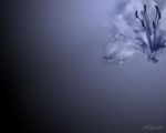 Oltre