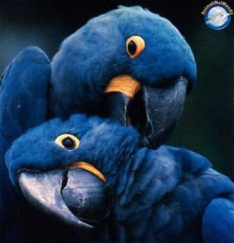 Un immagine buona