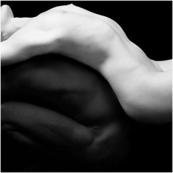 Forse
