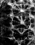 Carapace