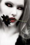 Torna l�ombra