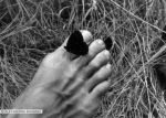 A piedi nudi