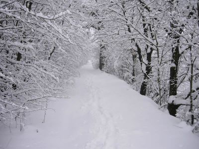 La neve
