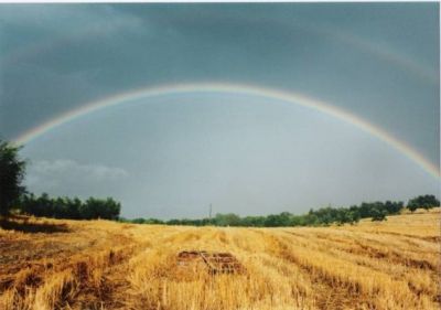 Dopo Il Temporale  