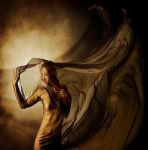 Ombre nella notte