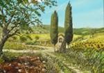 Terra D'incanto
