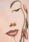 Quello che penso