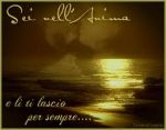 Non ci sarà un altro amore