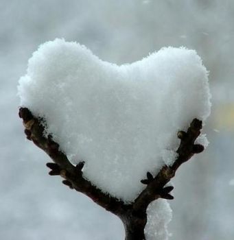 Neve  