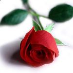 Respiro amore