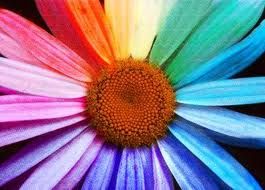 Dipinto di colori