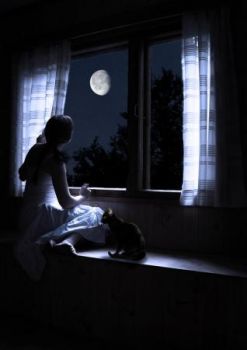 Nel sentiero dei sogni