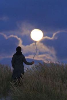 Le vie del cielo