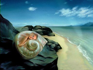 Conchiglia di mare  