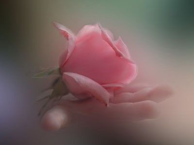 C�� ancora luce