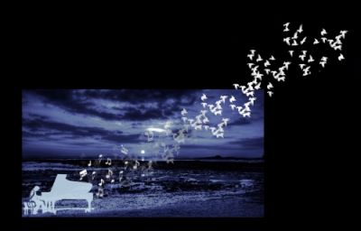 � musica del cuore  