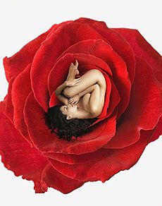 Profumo di Rose