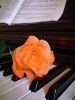 Sulle note di Chopin