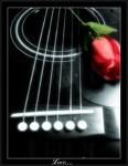 Note d'amore
