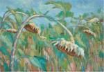 Girasoli a testa in gi�