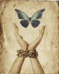 Libera L'Anima  