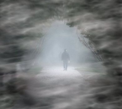Nella nebbia
