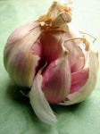 Spicchiu d'agliu