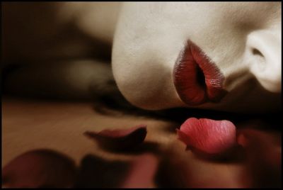Omaggio a Neruda