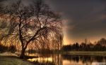 Verano del instante - Tanka