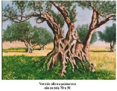 "Radici"