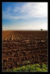 Terra