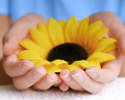 Un nuovo fiore � nato nel mio giardino