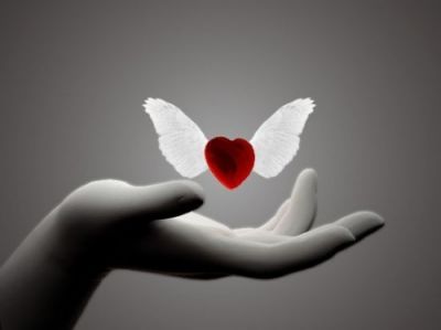Fragile e Invincibile