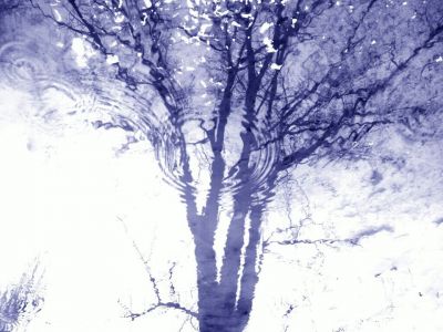 Incisioni