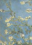 Mandorlo in fiore