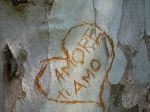 Amore ti Amo