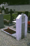 Il morto � morto, il vivo sta morendo  