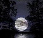 Nella notte, un'alba di luce